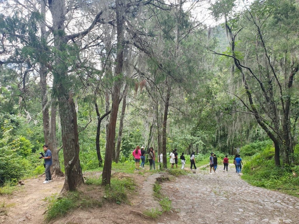 Proyecto Inspira Compasión en Acción — foto 4